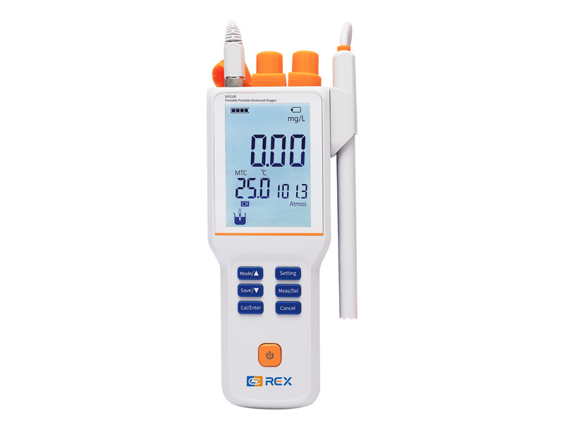 Máy đo DO cầm tay REX DO210E (0.00 - 20.00 mg/L)